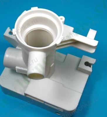 УЛИТКА СЛИВНОГО